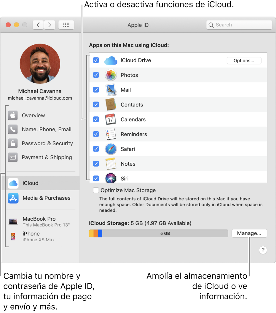 Panel de preferencias iCloud con todas las funciones seleccionadas.