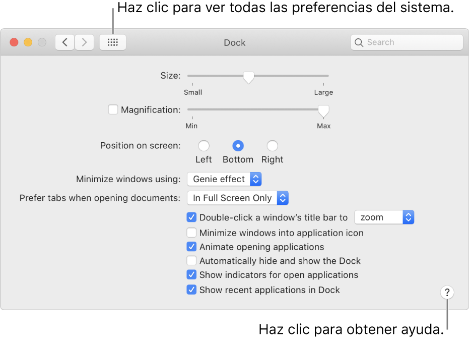 Haz clic en “Mostrar todo” para ver todos los iconos de preferencias. Haz clic en el botón Ayuda para obtener más información sobre el panel.