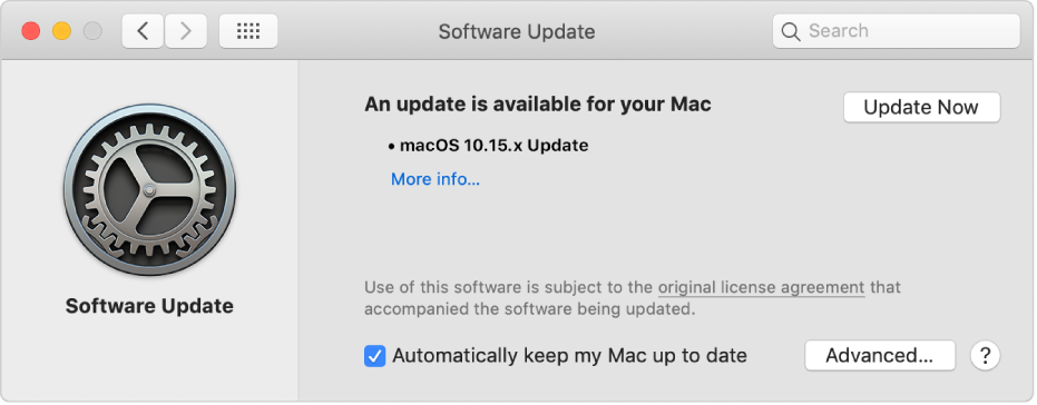 Preferenze Aggiornamento Software con un aggiornamento disponibile.