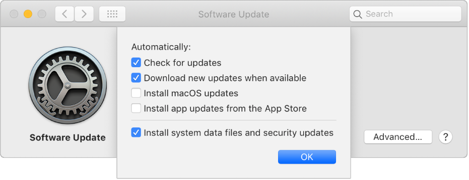 Opzioni avanzate delle preferenze Aggiornamento Software.