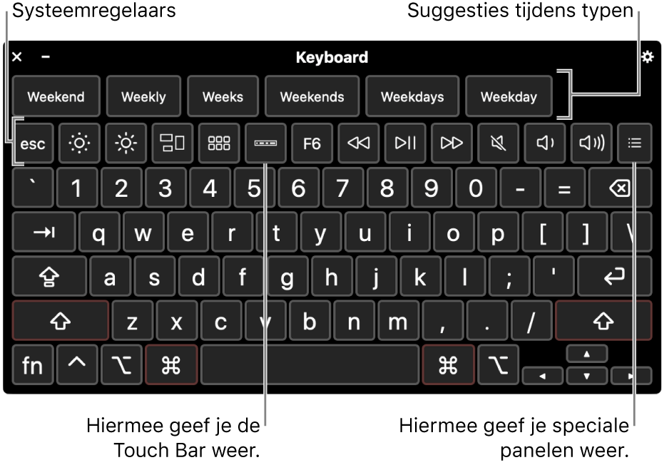 Het toegankelijkheidstoetsenbord met typesuggesties bovenaan. Onderaan staat een rij knoppen voor systeemregelaars waarmee je bijvoorbeeld de helderheid van het scherm kunt aanpassen en de Touch Bar op het scherm en aangepaste panelen kunt weergeven.