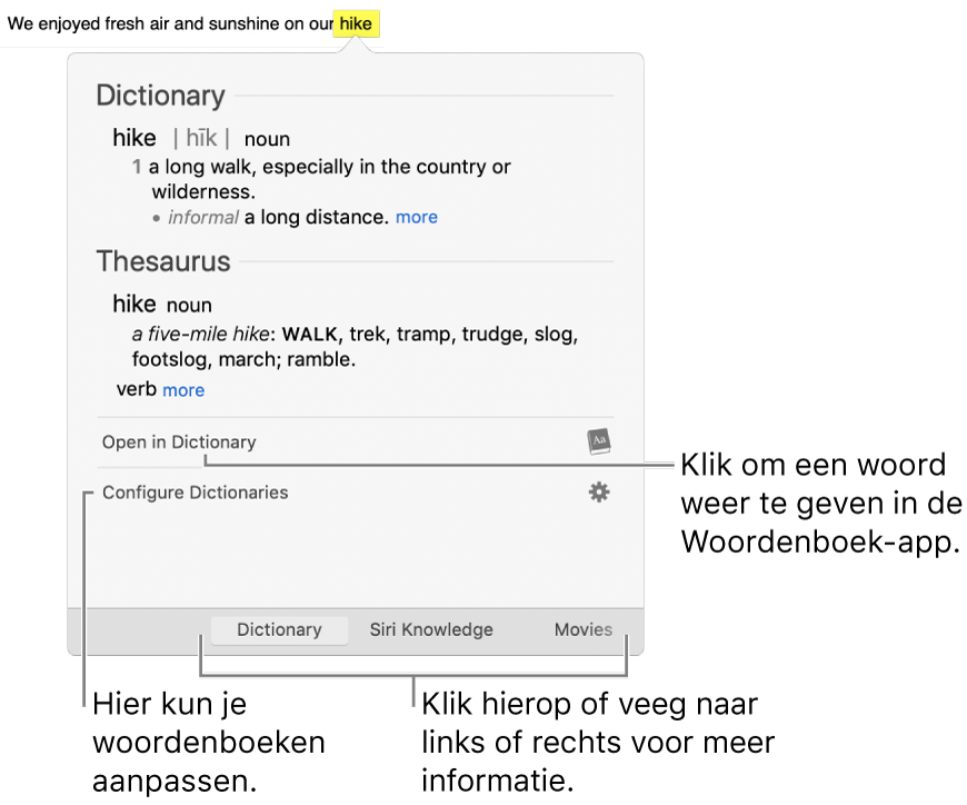 Het opzoekvenster met Woordenboek- en Thesaurus-definities voor een woord.