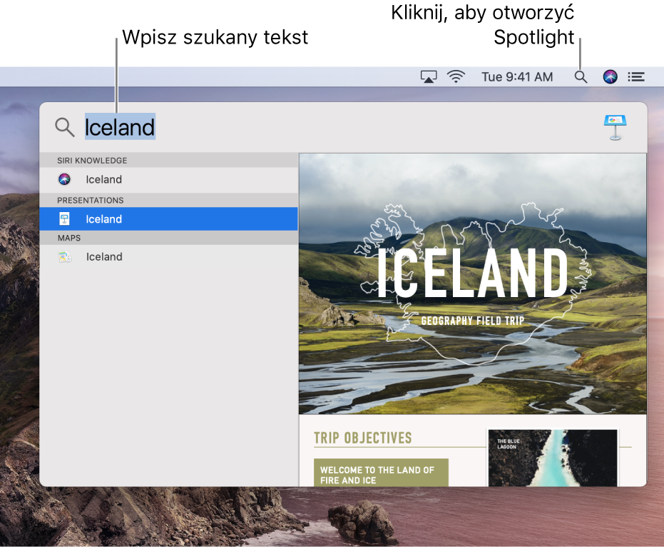 Menu Spotlight z przykładowym wyszukiwaniem i jego wynikami.