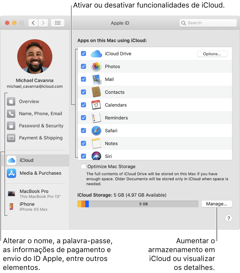 As preferências de iCloud com todas as funcionalidades selecionadas.
