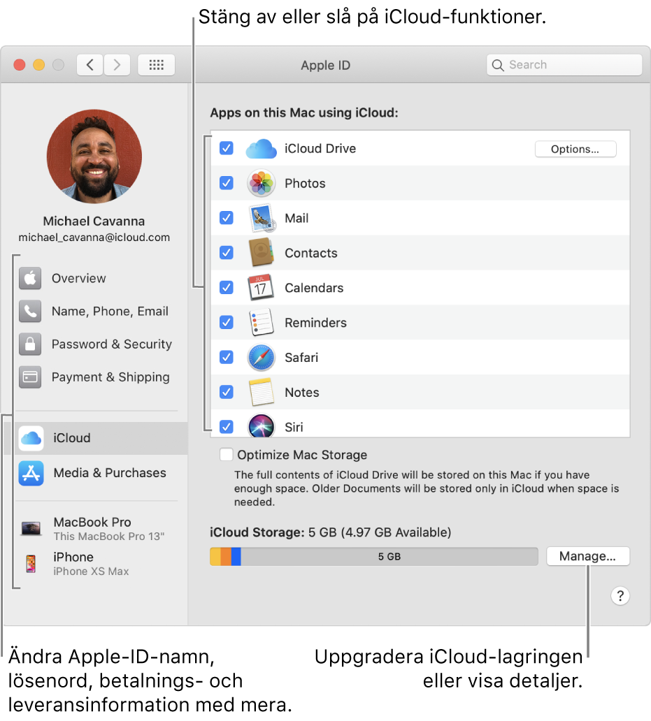 iCloud-inställningarna med alla funktioner markerade.