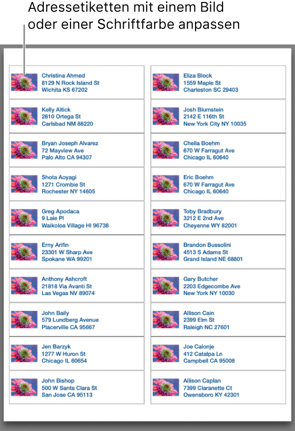 Drucken Von Etiketten, Umschlägen Und Kontaktlisten In Der App ...
