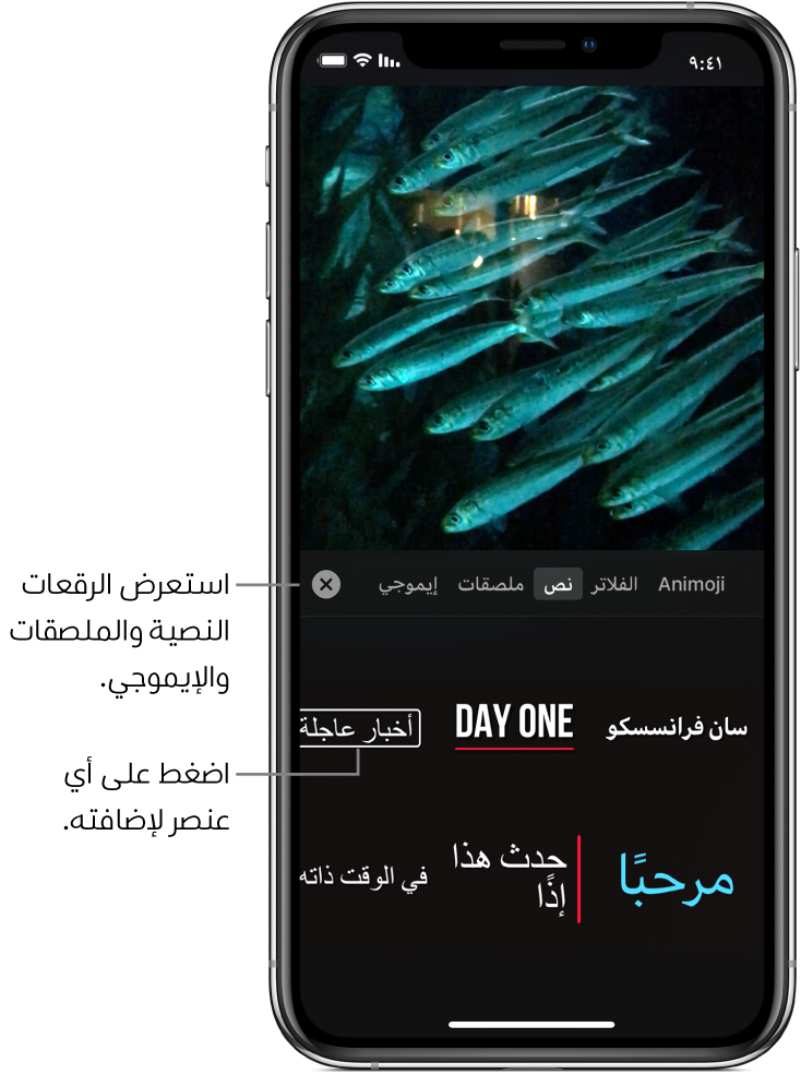 صورة فيديو في العارض، مع تحديد نص، وتظهر خيارات الرقعة النصية في الأسفل.