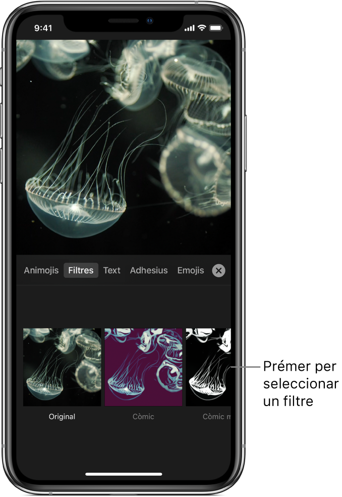 Una imatge de vídeo al visor, amb Filtres i el filtre Còmic seleccionat.
