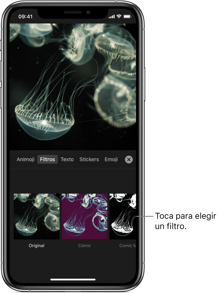 La imagen de un video en el visor, con la opción Filtros seleccionada y el filtro Cómic seleccionado.