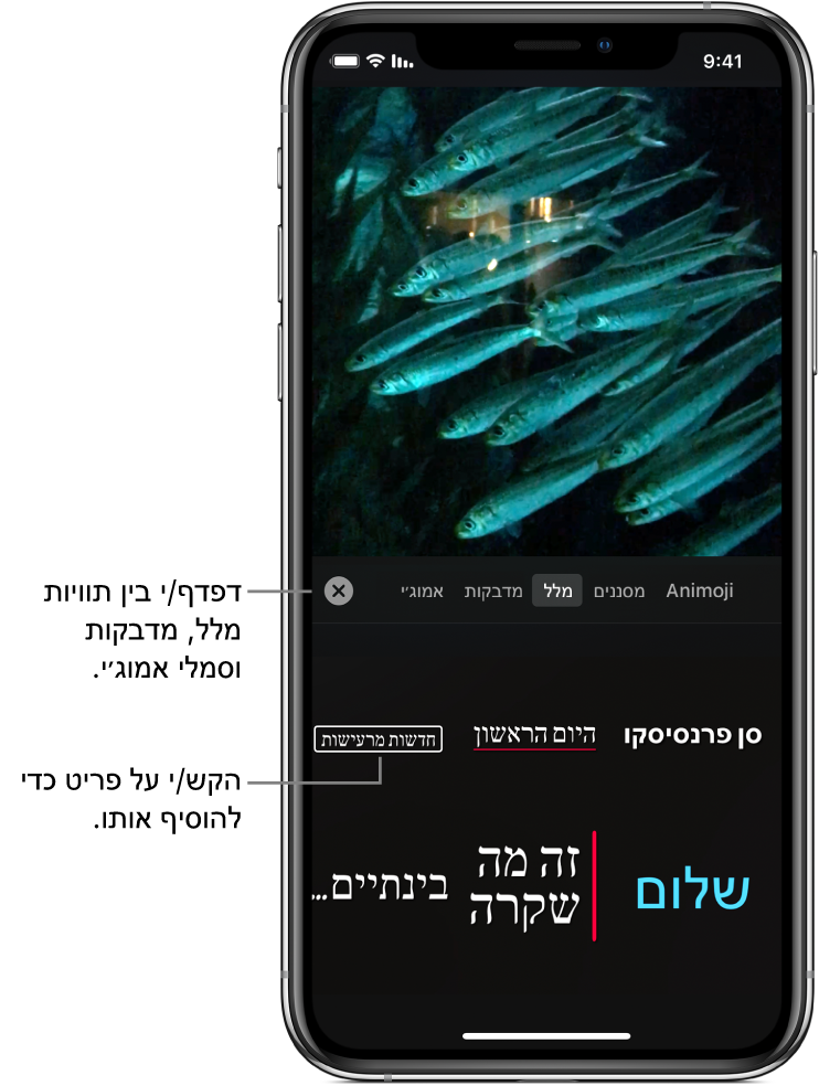 תמונה של וידאו בחלון התצוגה עם בחירה באפשרות ״מלל״ ומתחתיה אפשרויות של תוויות מלל.