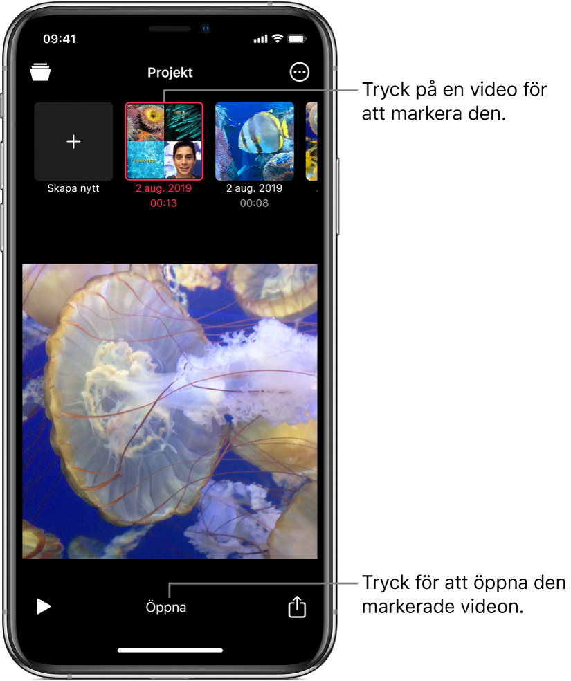 Projektminiatyrer ovanför en videobild i visningsfönstret med knappen Öppna nedanför.