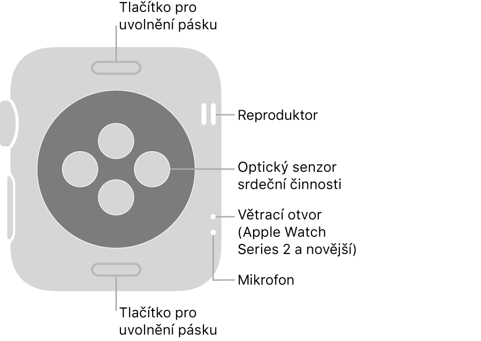 Zadní strana hodinek Apple Watch Series 3 a starších s popisky u tlačítka na uvolnění řemínku, reproduktoru, optického čidla srdečního tepu, větracího otvoru a mikrofonu