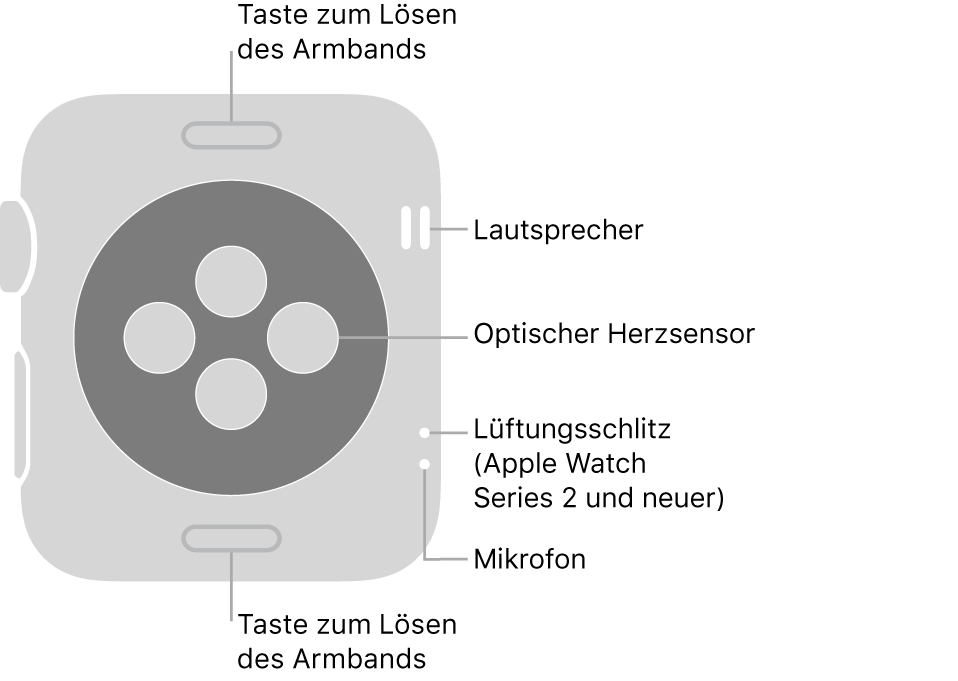 Die Rückseite der Apple Watch Series 3 (und neuer) mit Beschriftungen für Entriegelungstaste, Lautsprecher, optischem Herzsensor, Luftöffnung und Mikrofon.