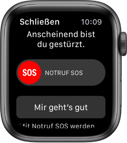 Der Bildschirm „Sturzerkennung“.