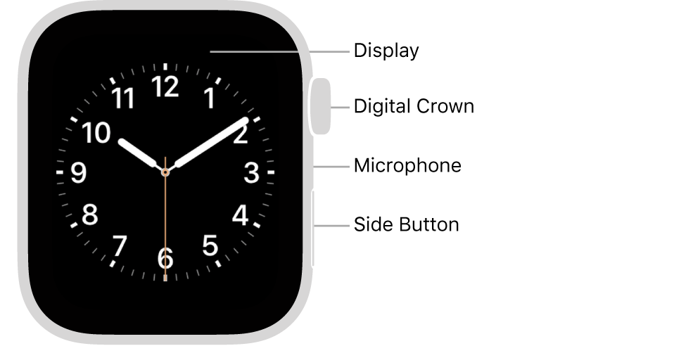 The front of Apple Watch Series 5 with callouts pointing to display, digital crown, microphone, and side button.
