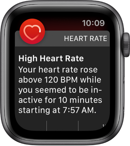 The High Heart Rate screen showing a notification that your hear rate rose above 120 BPM while you’ve been inactive for 10 minutes.