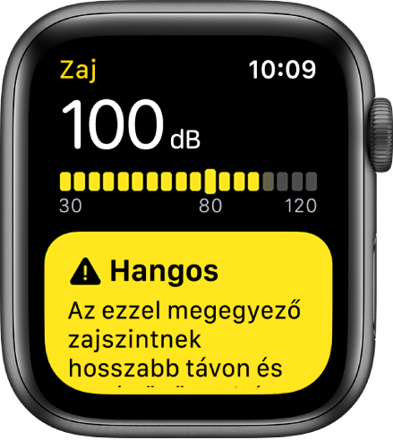 A Zaj alkalmazás, amint éppen 100 dB-t mér. Alatta figyelmeztetés az ilyen zajszintnek való hosszú távú kitettség hatásairól.