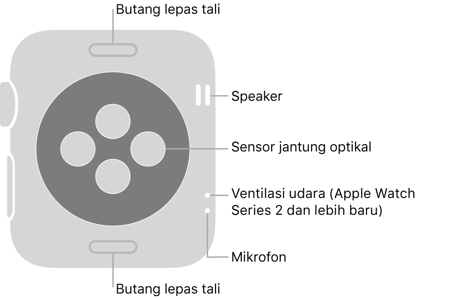 Bahagian belakang Apple Watch Series 3 dan lebih awal dengan petak bual menunjuk ke butang lepas tali, speaker, sensor jantung optikal, liang udara dan mikrofon.