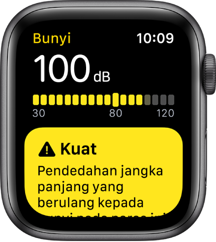 App Bunyi menunjukkan bacaan 100dB. Amaran tentang pendedahan jangka panjang terhadap paras bunyi ini muncul di bawah.