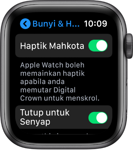 Skrin Haptik Mahkota, menunjukkan suis Haptik Mahkota diaktifkan.