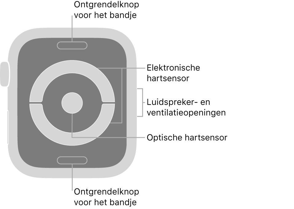 De achterkant van de Apple Watch Series 4 met bijschriften bij de ontgrendelknop voor het bandje, de elektronische hartsensor, de luidspreker- en ventilatieopeningen en de optische hartsensor.