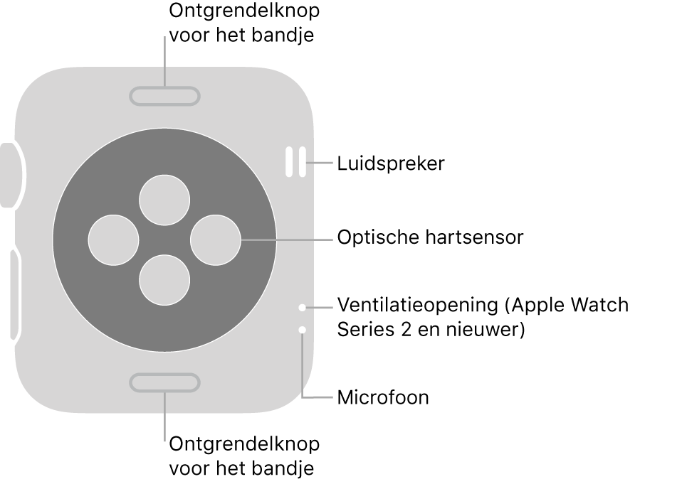 De achterkant van de Apple Watch Series 3 en eerdere modellen met bijschriften bij de ontgrendelknop voor het bandje, de luidspreker, de optische hartsensor, de ventilatieopening en de microfoon.