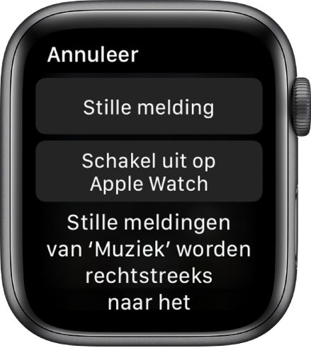 Berichtgevingsinstellingen op de Apple Watch. Op de bovenste knop staat 'Stille melding' en op de onderste staat 'Schakel uit op Apple Watch'.