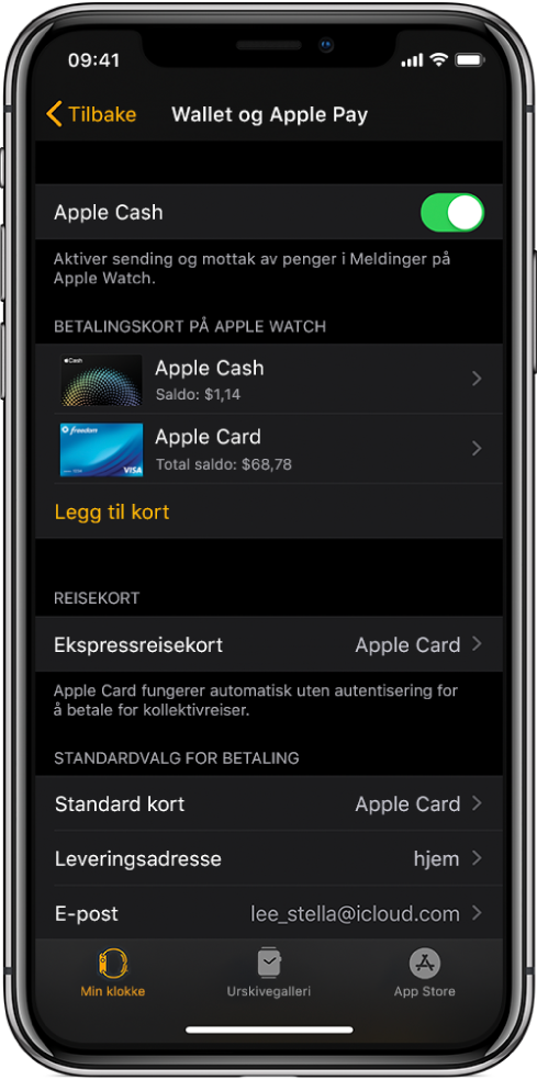 Wallet og Apple Pay-skjermen i Apple Watch-appen på iPhone. Skjermen viser kort som er lagt til på Apple Watch, kortet du har valgt å bruke for ekspressreise, og innstillinger for standardvalg for betaling.