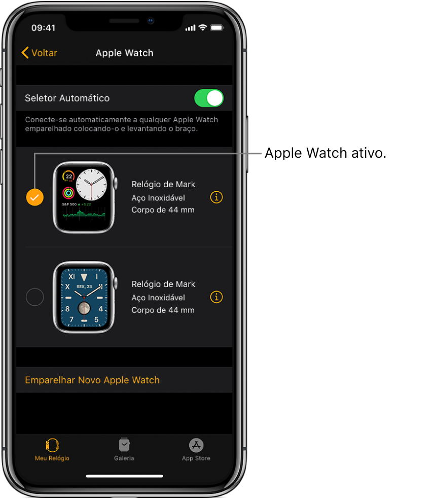 Marcas de verificação mostram o Apple Watch ativo.