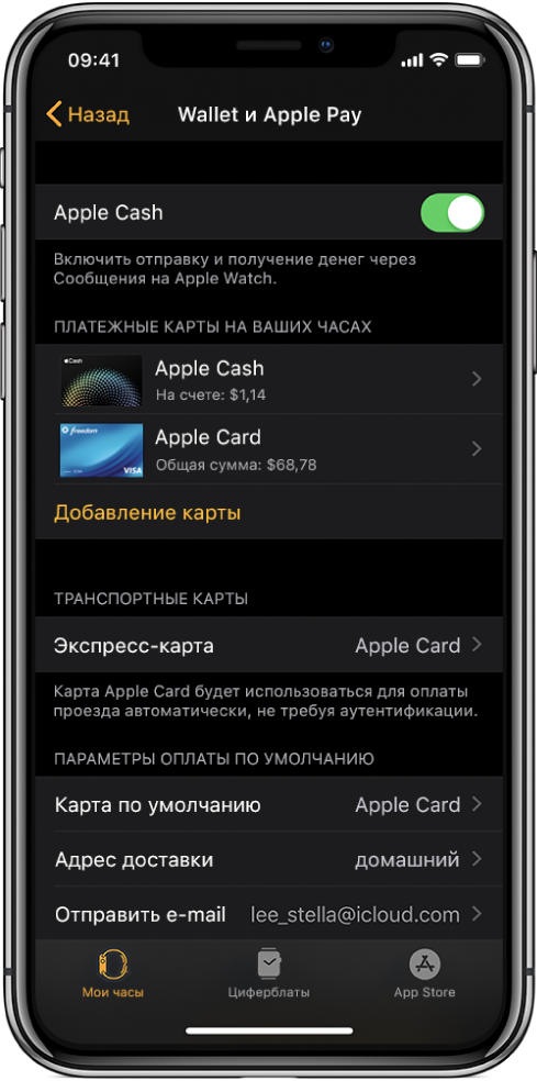 Экран «Wallet и Apple Pay» в приложении Apple Watch на iPhone. На экране показаны карточки, которые Вы добавили в Apple Watch, карточка, которую Вы выбрали в качестве транспортной экспресс-карты, и параметры оплаты по умолчанию.