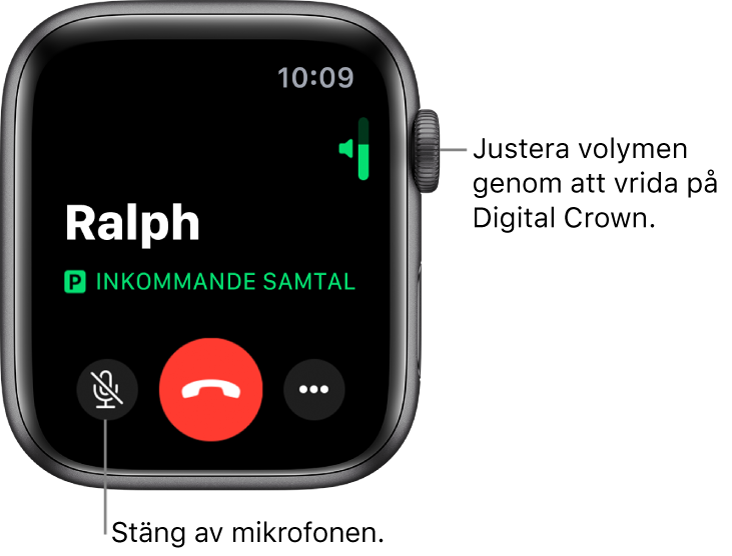Under ett inkommande samtal visar skärmen en horisontell volymindikator uppe till höger, knappen för ljud av längst ned till vänster, den röda knappen Avvisa och knappen för fler alternativ.