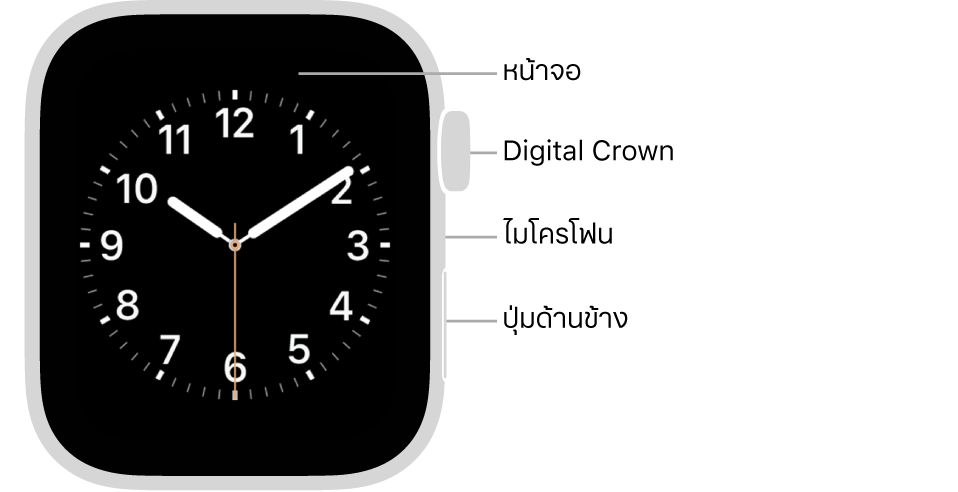 ด้านหน้าของ Apple Watch Series 5 พร้อมคำอธิบายภาพที่ชี้ไปที่หน้าจอ Digital Crown ไมโครโฟน และปุ่มด้านข้าง
