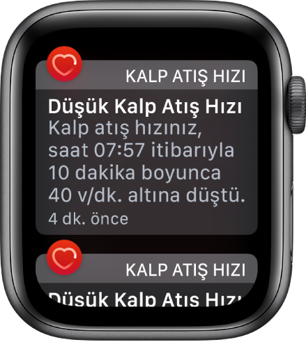 Düşük kalp atış hızı algılandığını gösteren Kalp Atış Hızı Uyarı ekranı.