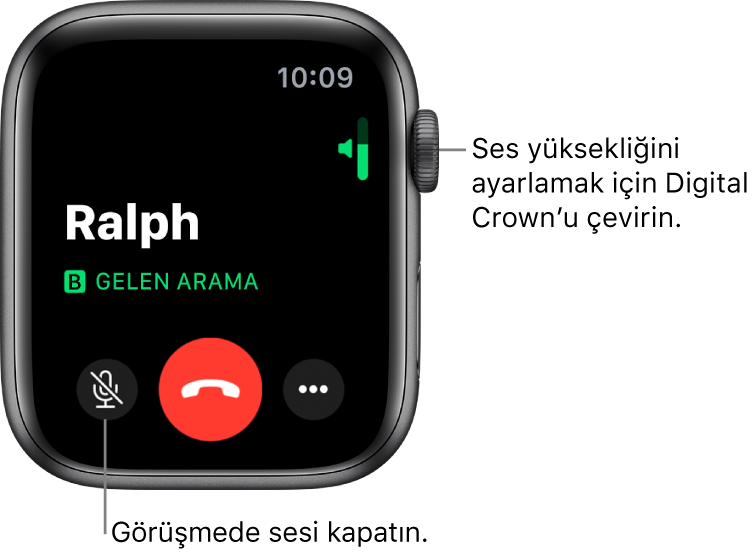 Gelen bir telefon görüşmesi sırasında, ekranda sağ üstte yatay ses yüksekliği göstergesi, sol altta Sesi Kapat düğmesi, kırmızı Reddet düğmesi ve Daha Fazla Seçenek düğmesi gösterilir.