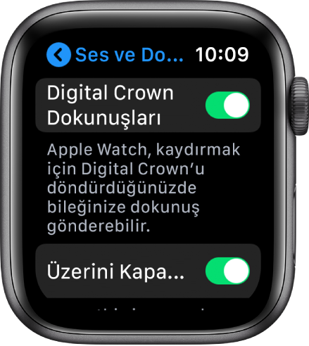 Crown Dokunuşları anahtarının açık olduğunu gösteren Crown Dokunuşları ekranı.