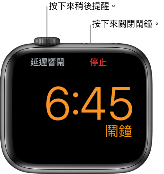 Apple Watch 已打側擺放,畫面顯示鬧鐘正在響鬧。「數碼錶冠」下方的文字是「延遲響鬧」。「停止」字樣位於側邊按鈕下方。