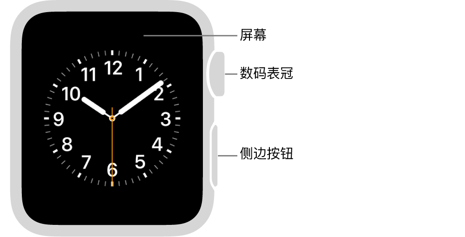 Apple Watch Series 3 及较早机型的正面,标注指示了屏幕、数码表冠和侧边按钮。
