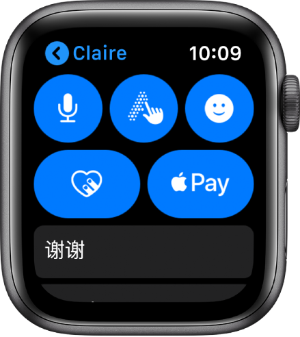 “信息”屏幕在右下角显示 Apple Pay 按钮。