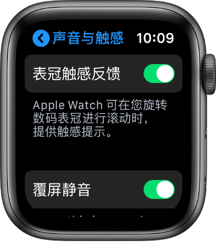“表冠触感反馈”屏幕,显示“表冠触感反馈”开关已打开。
