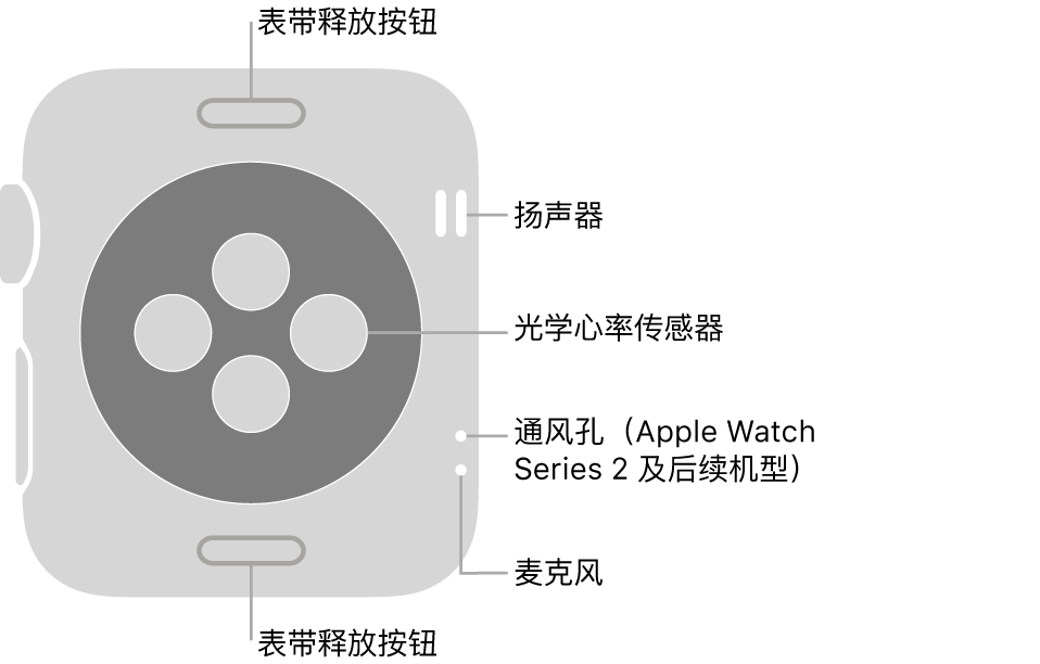 Apple Watch Series 3 及较早机型的背面,标注指示了表带释放按钮、扬声器、光学心率感应器、通风孔和麦克风。
