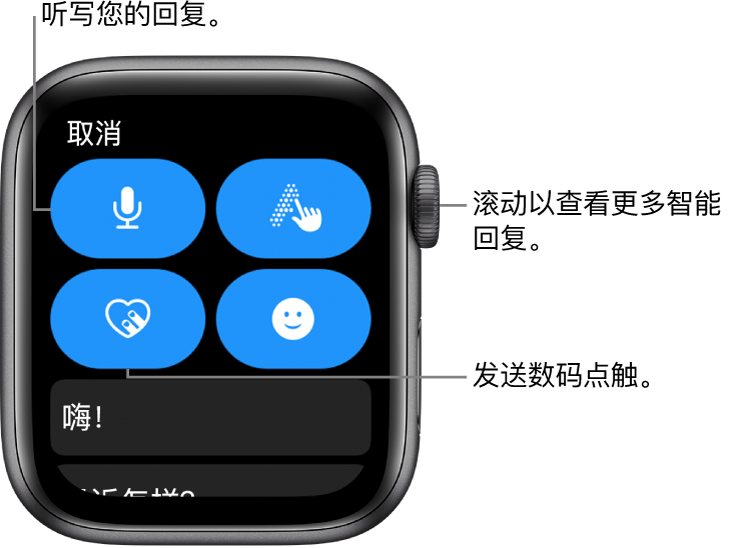 回复屏幕显示“听写”、“涂文字”、“数码点触”和“表情符号”按钮。智能回复在下方。旋转数码表冠来查看更多智能回复。