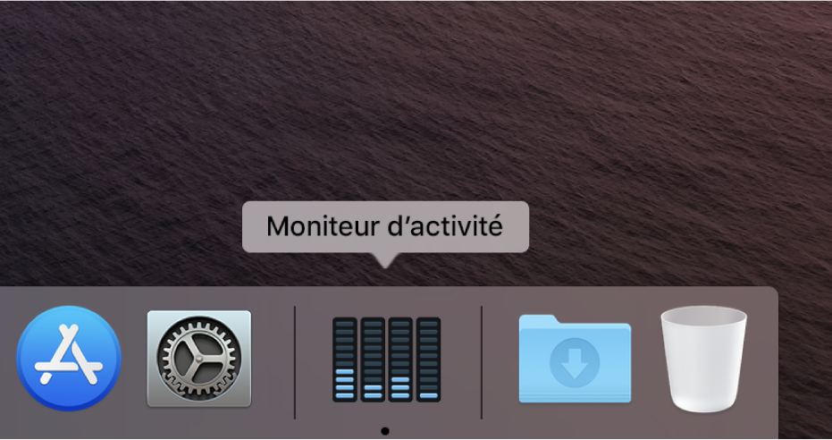 L’icône Moniteur d’activité dans le Dock affichant l’activité du disque.