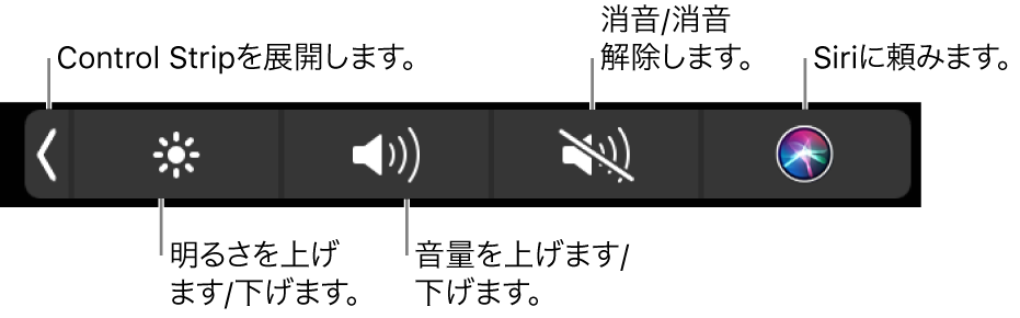 折りたたまれたControl Stripには、左から右へ順に、Control Stripを展開するボタン、ディスプレイの輝度および音量を調整するボタン、消音にしたり消音を解除したりするボタン、およびSiriに質問するボタンが含まれています。