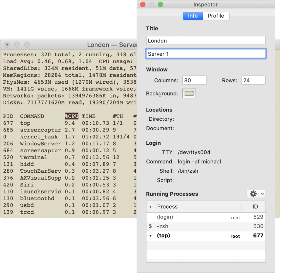 Der Bereich „Informationen“ in Terminal
