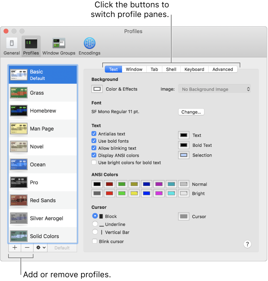 The Terminal Profiles pane showing the Basic profile selected, buttons to add and remove profiles, and the buttons used to switch profile panes.