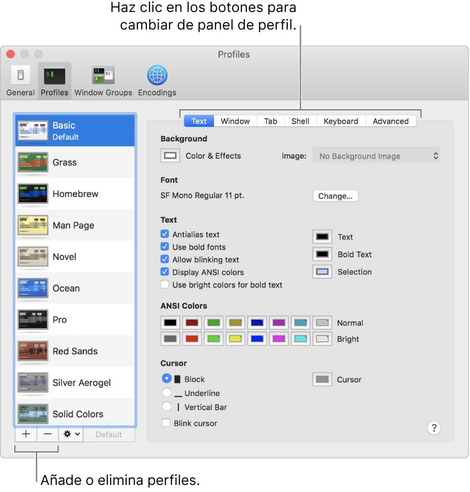 El panel Perfiles de Terminal, con el perfil Básico seleccionado, botones para añadir y eliminar perfiles y los botones que se utilizan para cambiar paneles de perfil.