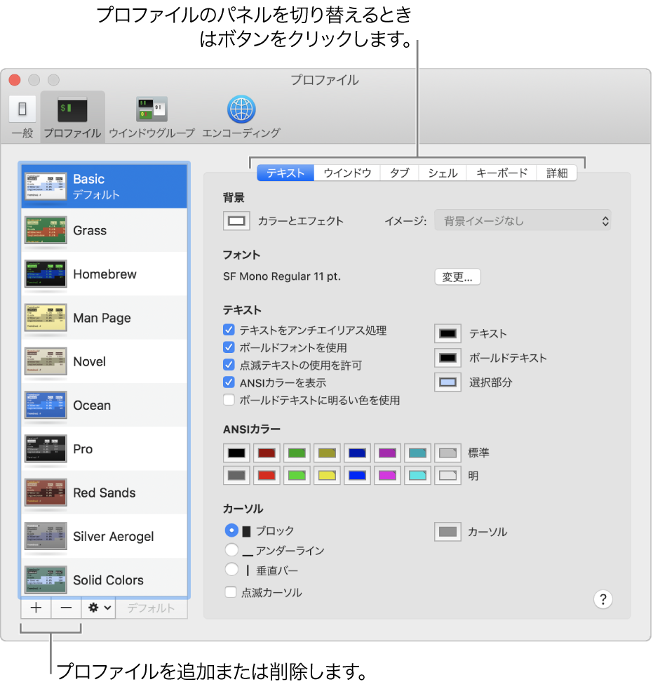 「ターミナル」の「プロファイル」パネル。「Basic」プロファイルが選択され、プロファイルを追加/削除するボタン、「プロファイル」パネルの切り替えに使用するボタンが表示されています。