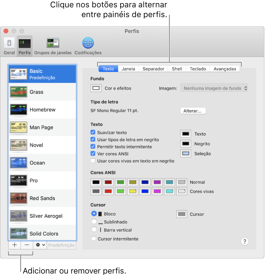 O painel Perfis do Terminal com o perfil Básico selecionado, os botões para adicionar e remover perfis, e os botões usados para alternar entre os painéis de perfis.