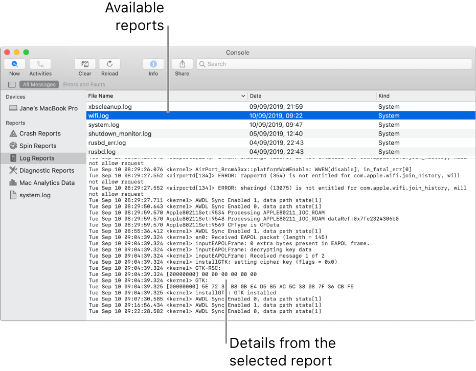 The Console window showing report categories in the sidebar, reports on the top and to the right of the sidebar, and report details below.