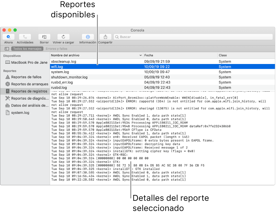 Ventana de Consola mostrando categorías de reportes en la barra lateral, reportes en la parte superior y a la derecha de la barra lateral, y detalles de reportes en la parte inferior.